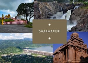 Dharampuri (Design + Execution)