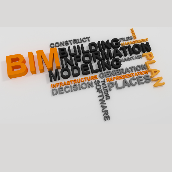 BIM Designs