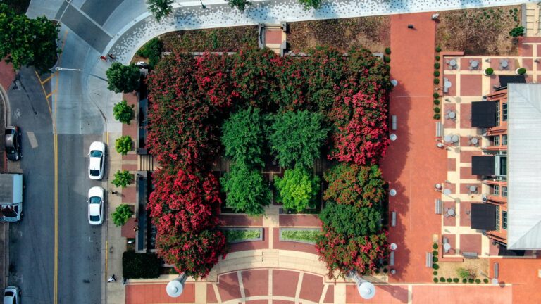 Top-down view of a city park with vibrant trees and surrounding urban streets.